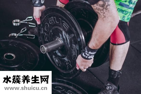 先增肌還是先減脂