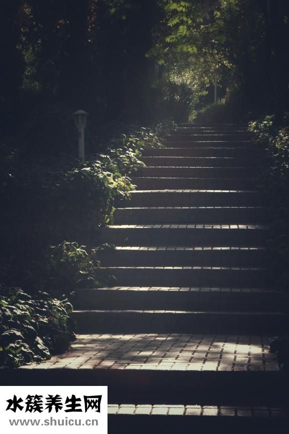 尾閭的準確位置圖