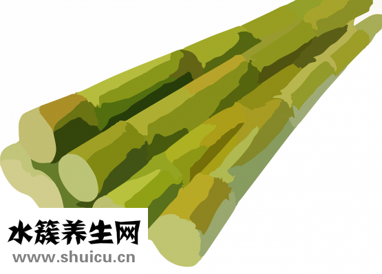 咽立爽口含滴丸