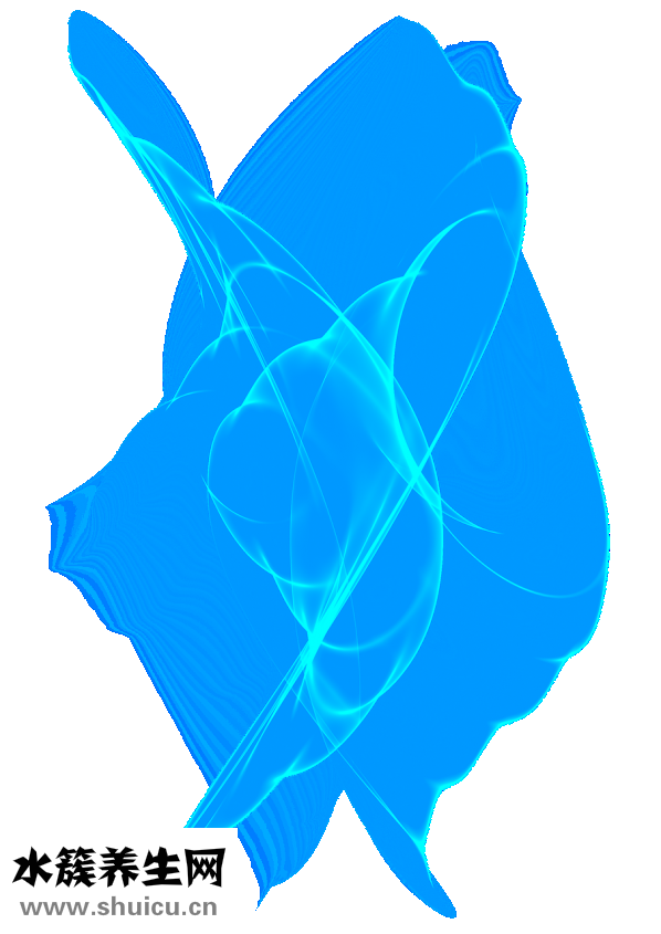 抽煙多了如何清肺