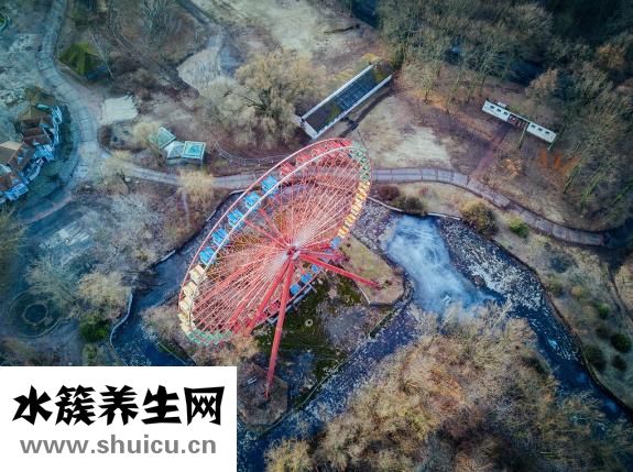 失眠多夢是什么原因