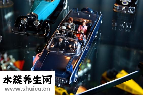 哈藥集團制藥六廠