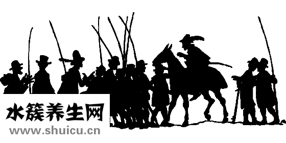 怎么看自己的臉型