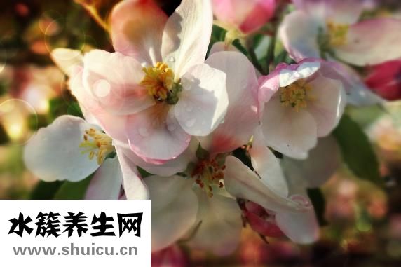 四個月還能墮胎嗎