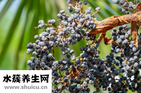 孕婦能吃海螺嗎