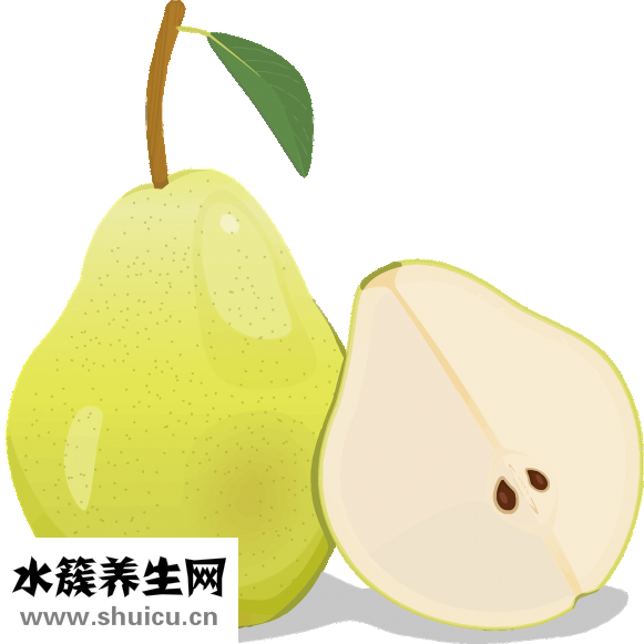 孕婦能吃海螺嗎