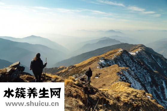 小米山藥紅棗粥