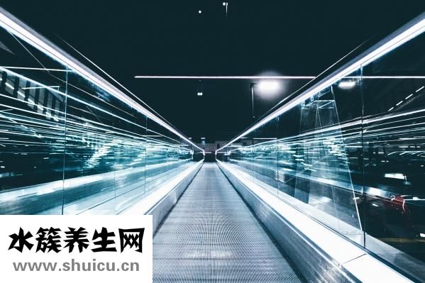 小米山藥紅棗粥