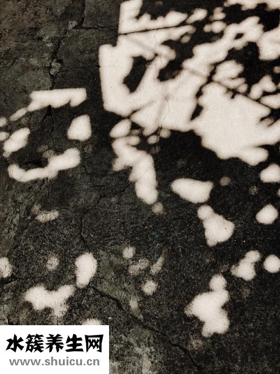 宣肺和清肺的區別