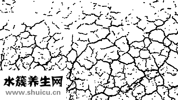 什么食物含磷高