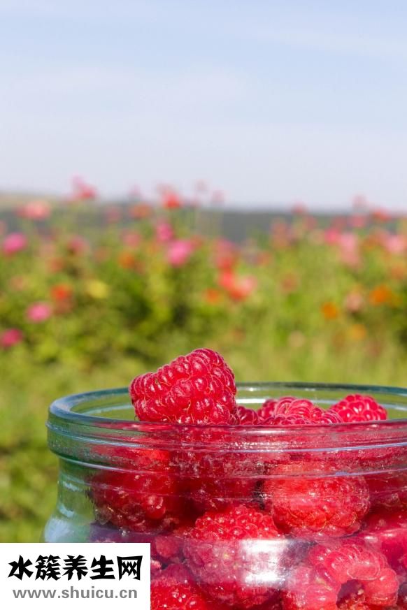 春季養生小常識