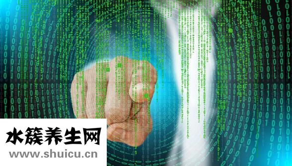 扇貝肉怎么處理干凈