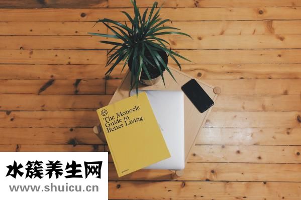 一天洗一次頭發(fā)好嗎