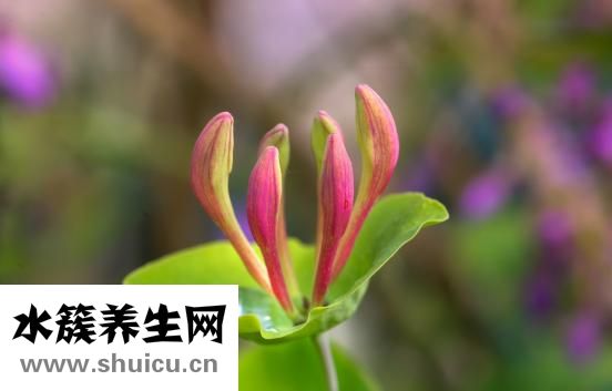 咽喉異物感治療