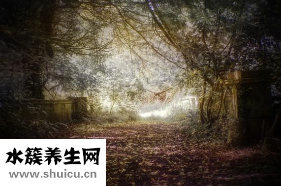 小針刀的作用與功效