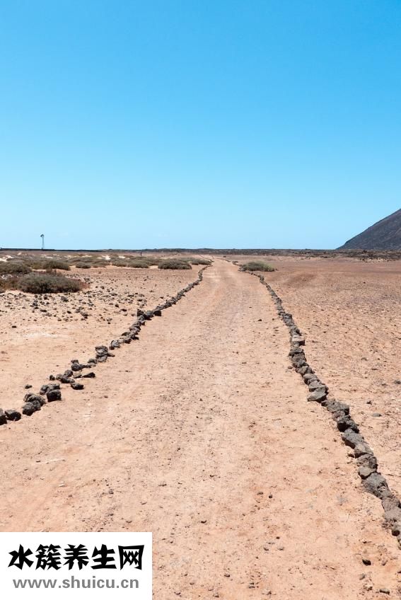 孕婦能不能吃山楂
