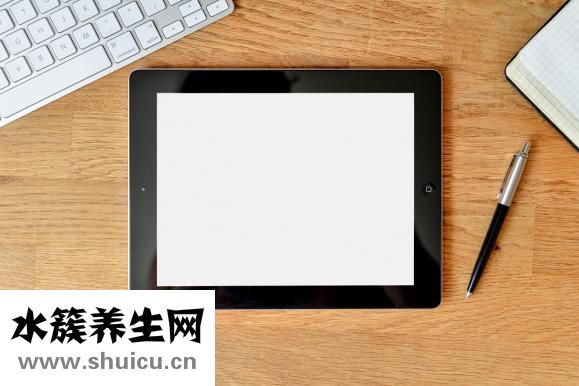 松露價格多少錢一斤