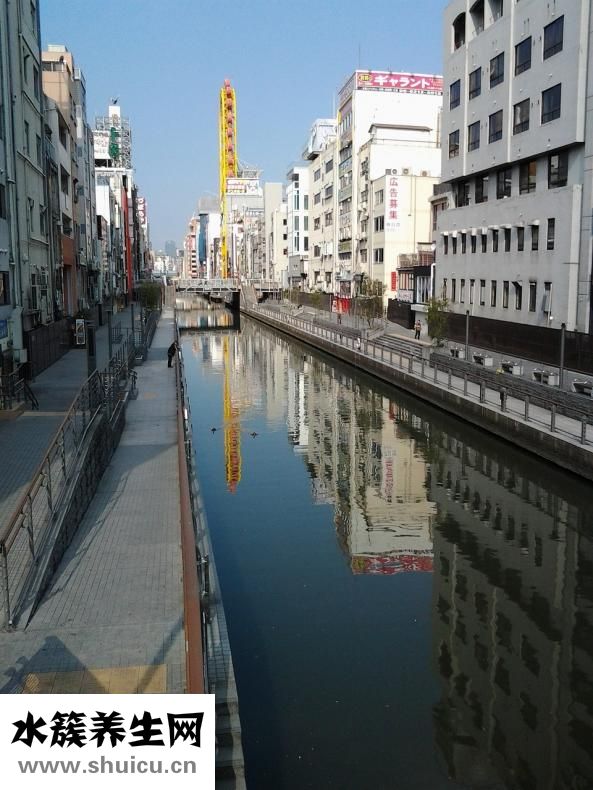 松露價格多少錢一斤