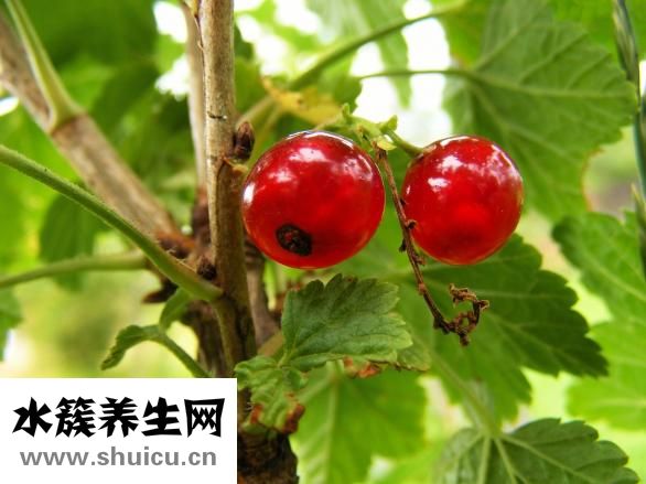 手腳麻木是怎么回事