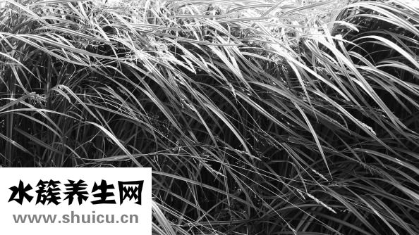 牙齒痛是什么原因