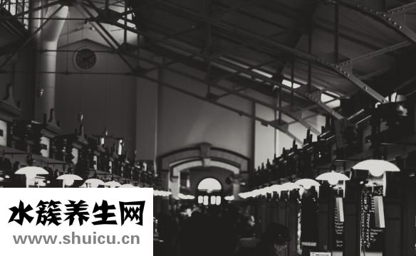 松露價格多少錢一斤