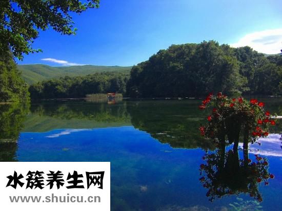 胸脹痛是懷孕了嗎