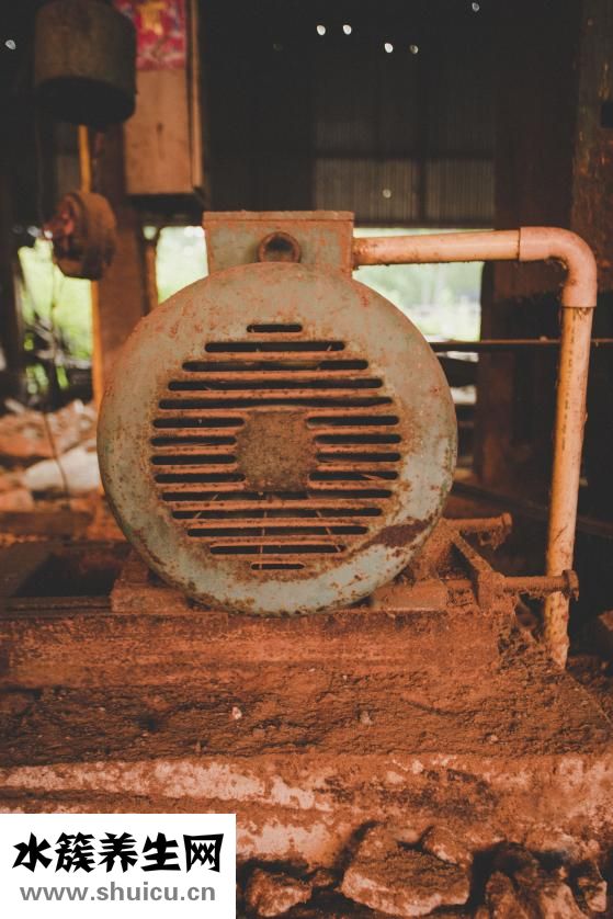 椰子水能凈化羊水嗎