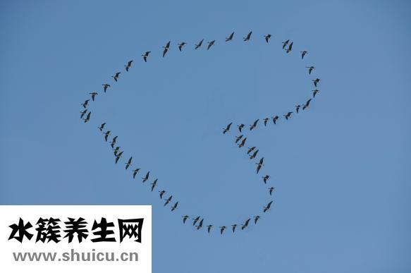 睡眠不足會變笨