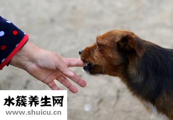 水痘傳染性強嗎