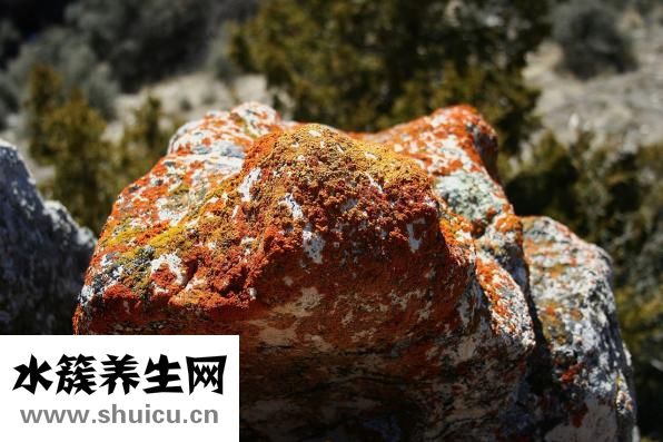 為什么腳底會痛