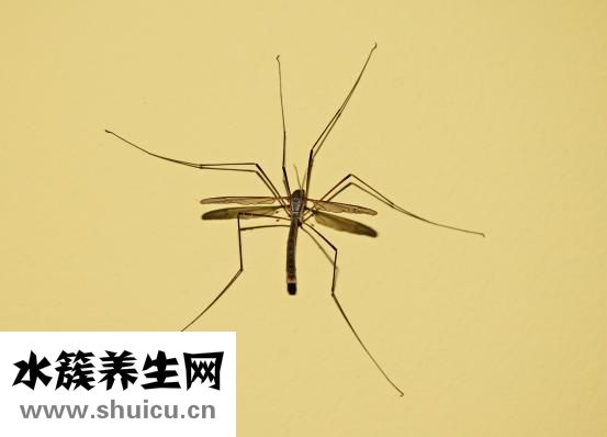 身上發(fā)冷是什么原因