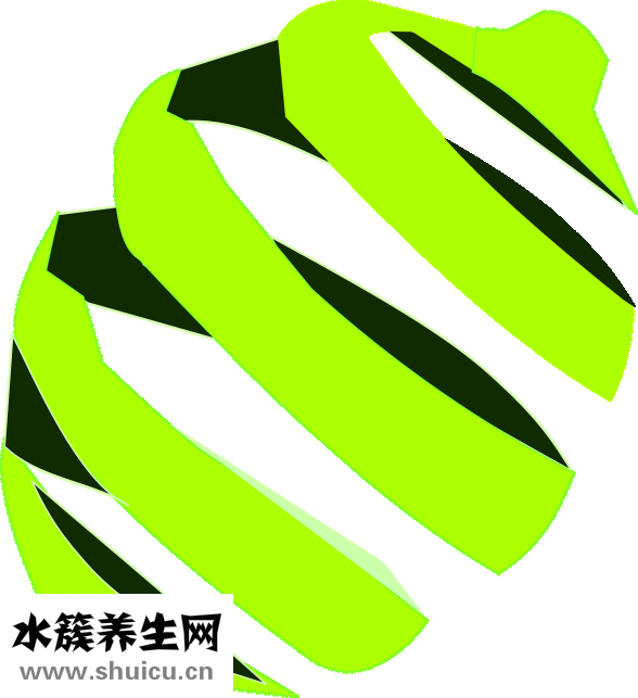 菠蘿蜜核煮多久