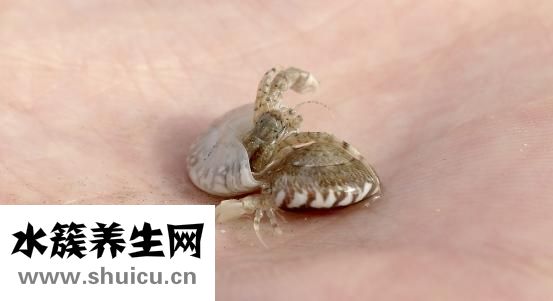 胃里有個瘤怎么辦