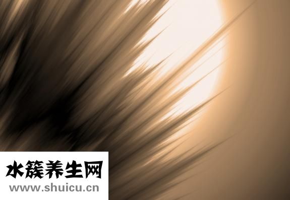 痦子和痣的區(qū)別