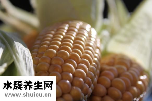 海帶湯怎么做好吃