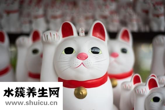 睡眠障礙看什么科