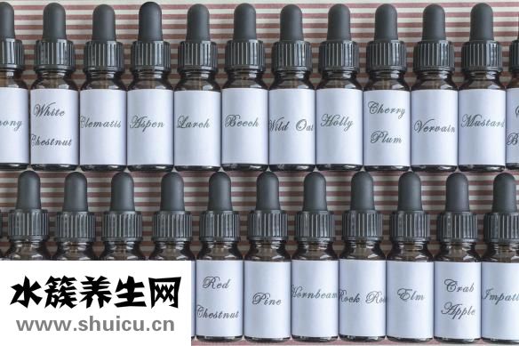 水果什么時(shí)候吃最好