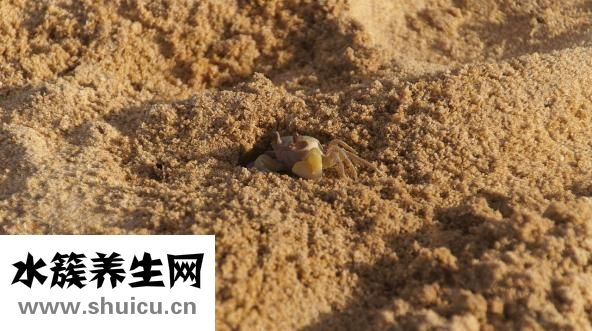 胸部有結節怎么辦