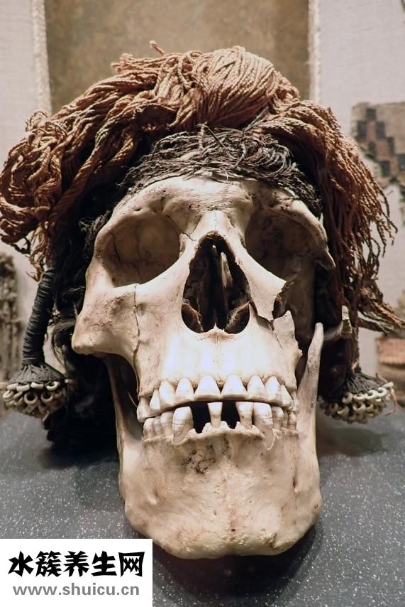 頭圍是什么意思