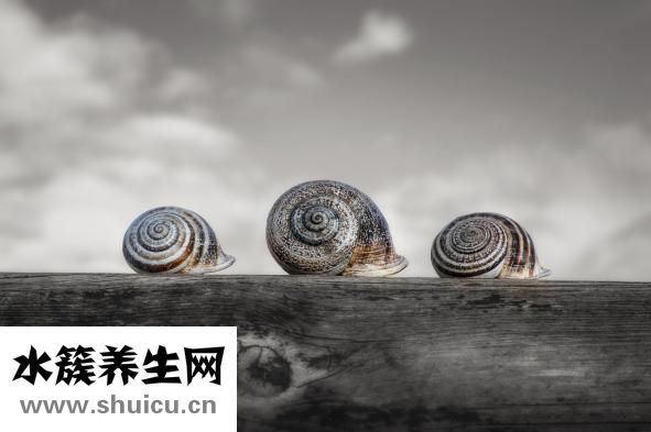 胃潰瘍會傳染嗎