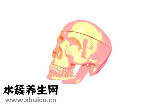 王氏伸筋壯骨膠囊