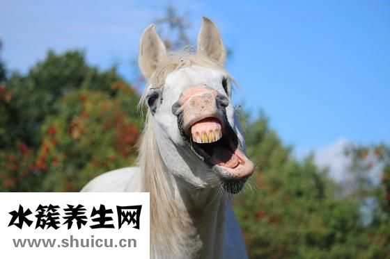 胃潰瘍會傳染嗎