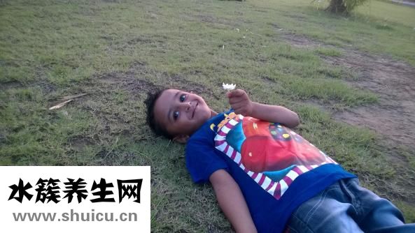 澤瀉的作用和功效