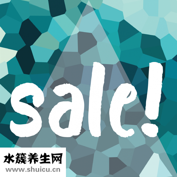 西洋參價(jià)格表