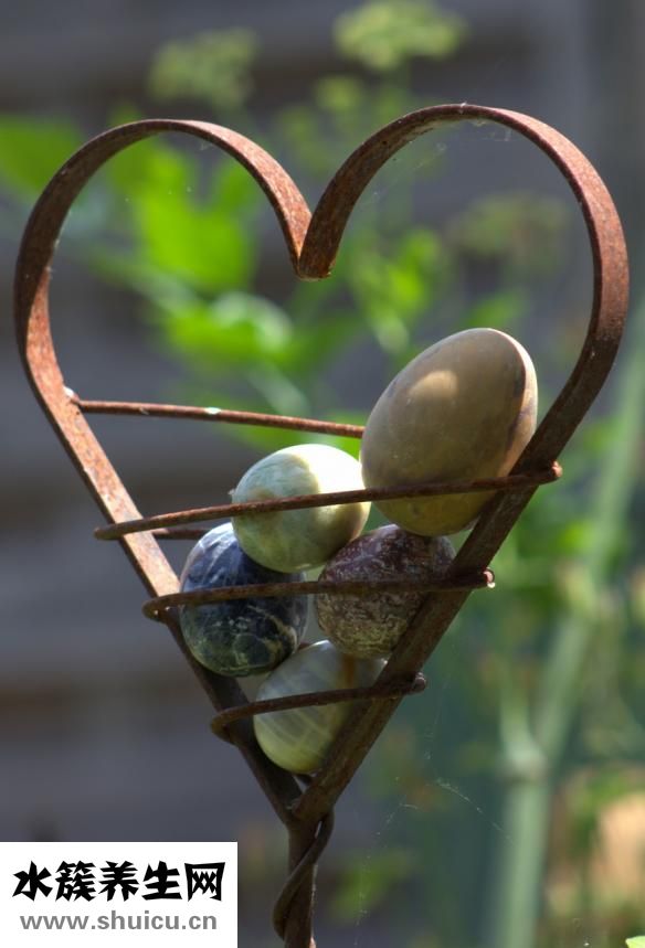 胸脹痛是什么原因