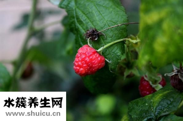 怎樣治療牙周炎