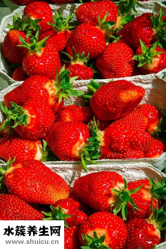 甜杏仁的功效與作用