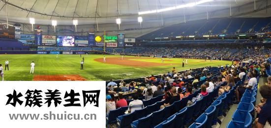 神經(jīng)電生理