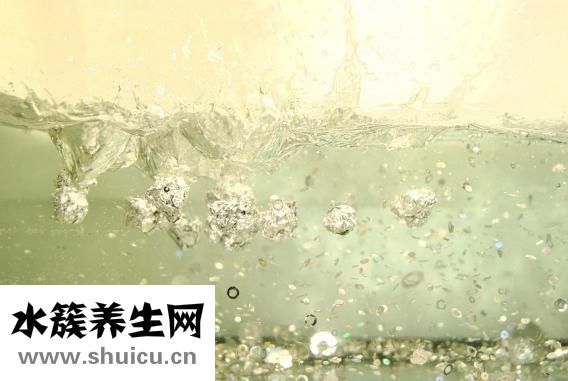 魚肝油什么牌子好