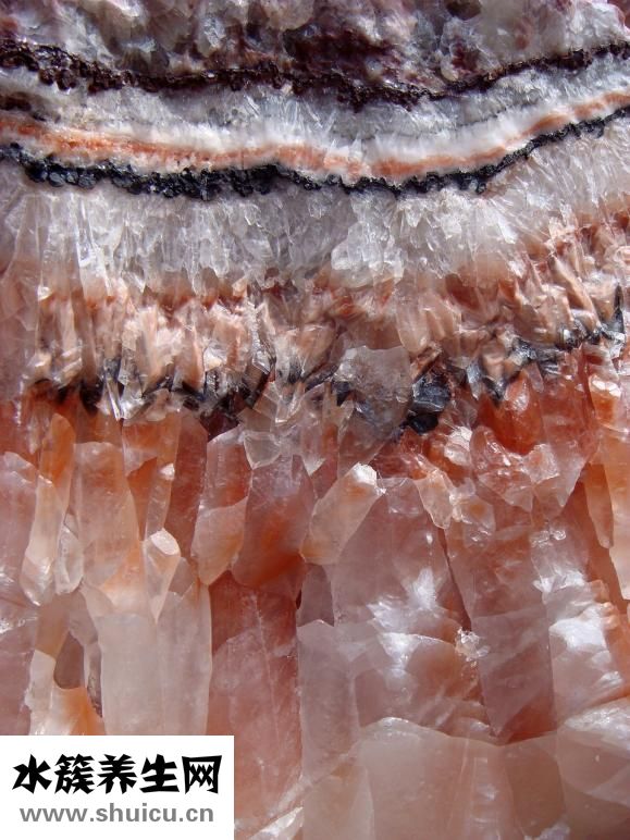 移植后幾天著床